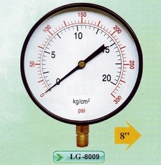 Đồng hồ 8009