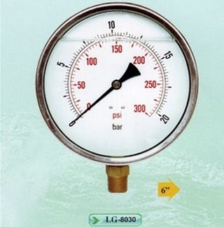 Đồng hồ 8029